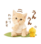 ラフな敬語の癒しやんこのキジトラクリーム（個別スタンプ：26）