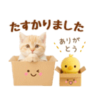 ラフな敬語の癒しやんこのキジトラクリーム（個別スタンプ：32）