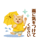 ラフな敬語の癒しやんこのキジトラクリーム（個別スタンプ：39）