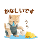 ラフな敬語の癒しやんこのキジトラクリーム（個別スタンプ：40）