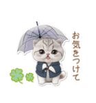 可愛い猫 シール風パステル 思いやり 敬語（個別スタンプ：24）