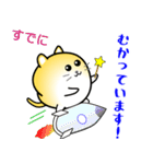 nobobi まるまっちい ねこにゃん（個別スタンプ：3）