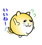nobobi まるまっちい ねこにゃん（個別スタンプ：16）
