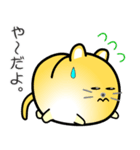 nobobi まるまっちい ねこにゃん（個別スタンプ：19）