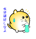 nobobi まるまっちい ねこにゃん（個別スタンプ：29）
