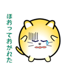 nobobi まるまっちい ねこにゃん（個別スタンプ：31）