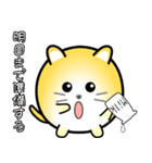 nobobi まるまっちい ねこにゃん（個別スタンプ：35）