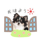 うちのコStamp No:5459（個別スタンプ：3）