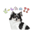 うちのコStamp No:5459（個別スタンプ：6）