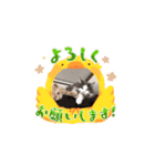 パートナー1（個別スタンプ：3）