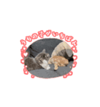 パートナー1（個別スタンプ：5）