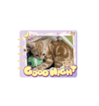 パートナー1（個別スタンプ：6）