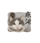 パートナー1（個別スタンプ：8）