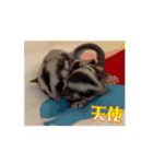 じゅんパパとツインズ＆くりりんココ（個別スタンプ：3）