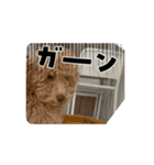 ベルくんの一日（個別スタンプ：6）