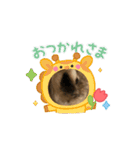 チャビカスタンプ5⃣（個別スタンプ：9）