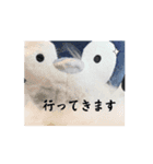 ぺぺんのiroiroスタンプ（個別スタンプ：6）