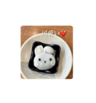 心のうさぎたーん（個別スタンプ：1）