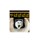 心のうさぎたーん（個別スタンプ：4）