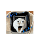 心のうさぎたーん（個別スタンプ：8）