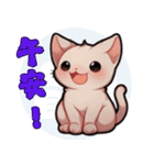 スフィンクス猫の日常（V.01）（個別スタンプ：5）