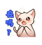 スフィンクス猫の日常（V.01）（個別スタンプ：10）