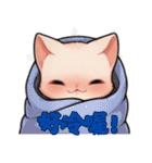 スフィンクス猫の日常（V.01）（個別スタンプ：11）