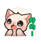 スフィンクス猫の日常（V.01）（個別スタンプ：12）