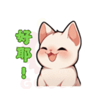 スフィンクス猫の日常（V.01）（個別スタンプ：13）