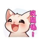 スフィンクス猫の日常（V.01）（個別スタンプ：20）