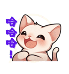 スフィンクス猫の日常（V.01）（個別スタンプ：22）