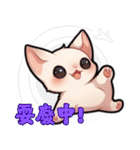 スフィンクス猫の日常（V.01）（個別スタンプ：25）