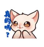 スフィンクス猫の日常（V.01）（個別スタンプ：28）