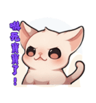 スフィンクス猫の日常（V.01）（個別スタンプ：37）