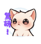 スフィンクス猫の日常（V.01）（個別スタンプ：39）