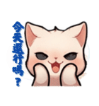 スフィンクス猫の日常（V.02）（個別スタンプ：12）