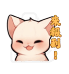 スフィンクス猫の日常（V.02）（個別スタンプ：17）