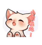 スフィンクス猫の日常（V.02）（個別スタンプ：22）