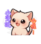 スフィンクス猫の日常（V.02）（個別スタンプ：25）