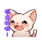 スフィンクス猫の日常（V.02）（個別スタンプ：26）
