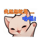 スフィンクス猫の日常（V.02）（個別スタンプ：38）