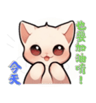 スフィンクス猫の日常（V.02）（個別スタンプ：40）
