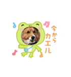 Chiro ＆ Dale   5（個別スタンプ：8）