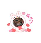 Chiro ＆ Dale   5（個別スタンプ：9）