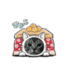 Chiro ＆ Dale   5（個別スタンプ：13）