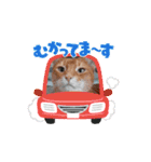 Chiro ＆ Dale   5（個別スタンプ：14）