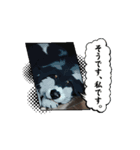 ザザッ（個別スタンプ：1）