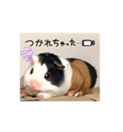 ザザッ（個別スタンプ：7）
