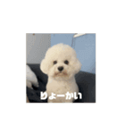 かうちゃん 第2弾（個別スタンプ：1）