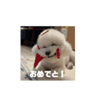 かうちゃん 第2弾（個別スタンプ：11）